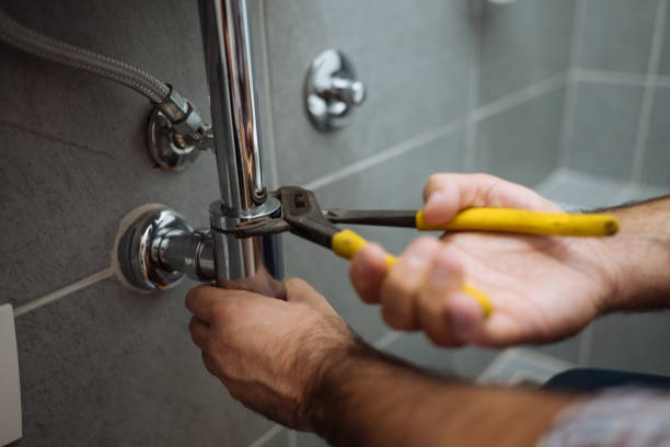 Best Residential Plumbing Services  in Birdsboro, PA