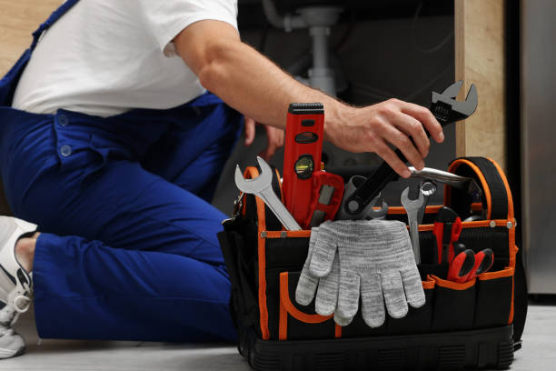 Best Clogged Drain Plumber  in Birdsboro, PA